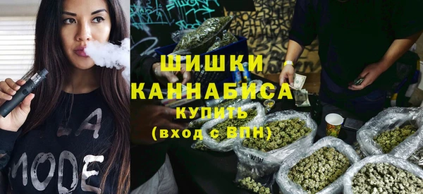 соль ск Вяземский