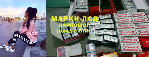 дживик Володарск