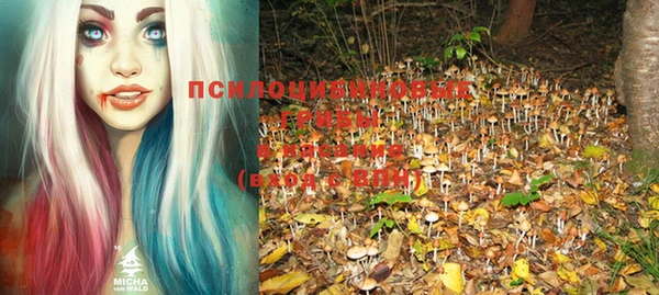 соль ск Вяземский