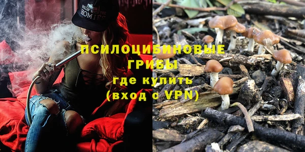 соль ск Вяземский