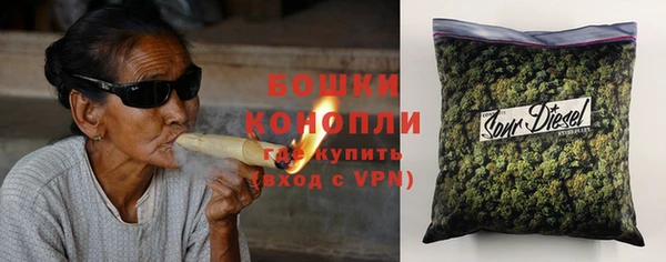 соль ск Вяземский