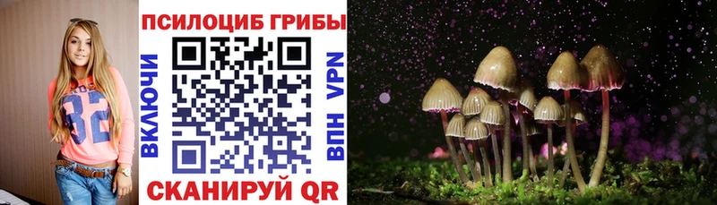 где продают наркотики  Гдов  Псилоцибиновые грибы Magic Shrooms 